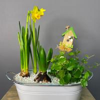 Композиция в овальном кашпо Композиция в овальном кашпо