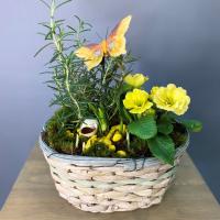 Композиция "Солнечная примула"