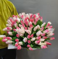 Букет Тюльпаны микс 51шт