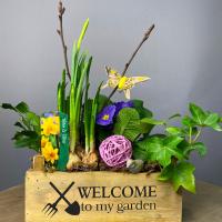 Мини-садик в ящике 