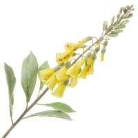 Цветок искусственный Наперстянка 74см