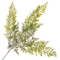 Ветка папоротника, искусственная 102 см