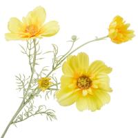 Цветок искусственный Космея желтая - 78см