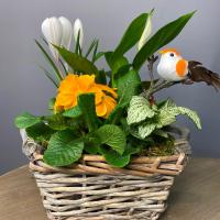Композиция в корзинке с птичкой