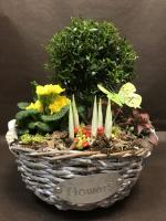 Мини-садик с Миртовым деревом