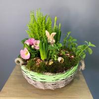 Мини-садик в корзинке с зайчиком