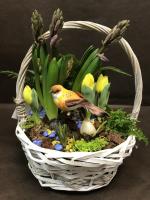 Корзина с гиацинтами, тюльпанами