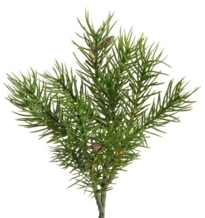 Ветка еловая 27см 218905-800