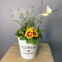 Композиция в ведерке с розмарином