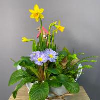 Весенняя композиция с нарциссом в ведерке