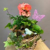 Композиция "Яркая примула" Композиция "Яркая примула"