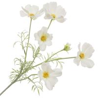 Цветок искусственный Космея 78см, белый