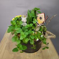 Композиция "Весёлый котёнок"