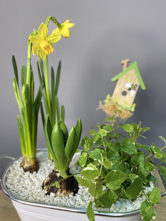 Композиция в овальном кашпо