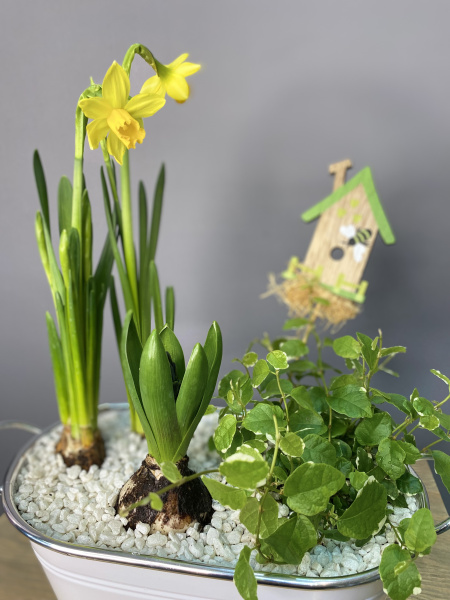 Композиция в овальном кашпо