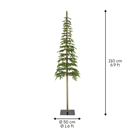 Ель узкая на стволе Альпийская 210см 680072