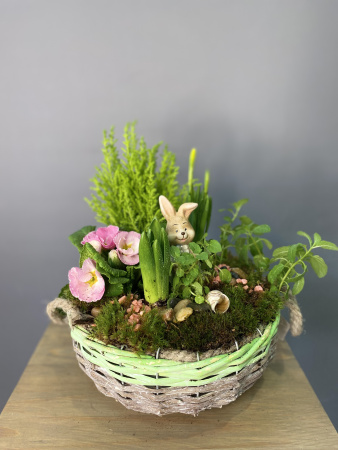Мини-садик в корзинке с зайчиком