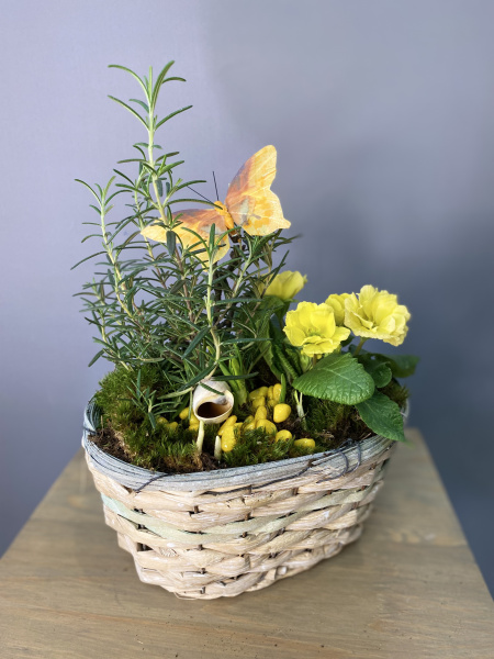 Композиция "Солнечная примула"