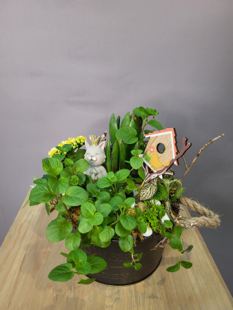 Композиция "Весёлый котёнок"