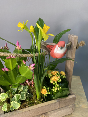 Цветущий садик в ящике