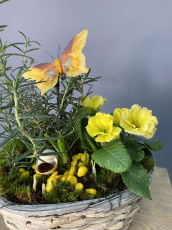 Композиция "Солнечная примула"