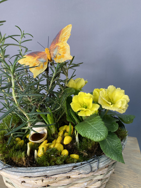 Композиция "Солнечная примула"