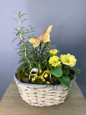 Композиция "Солнечная примула"