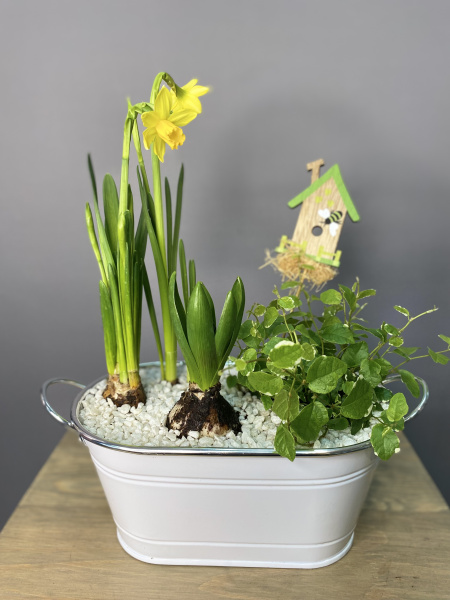 Композиция в овальном кашпо