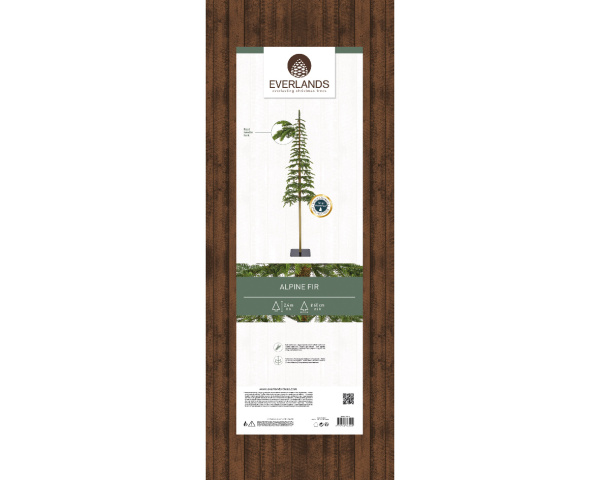 Ель узкая на стволе Альпийская 240см