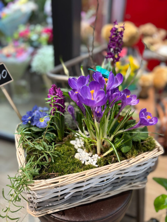 Ароматная корзина с яркими крокусами