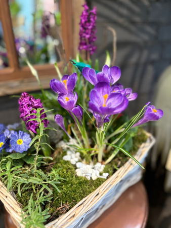 Ароматная корзина с яркими крокусами