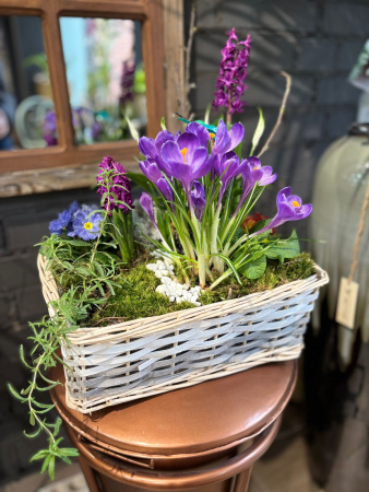 Ароматная корзина с яркими крокусами
