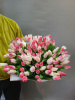 Букет Тюльпаны микс 51шт