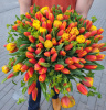 Букет Тюльпанов "Оранжевое настроение" от 25шт.