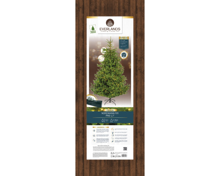 Искусственная елка Nordmann 180 см с огнями