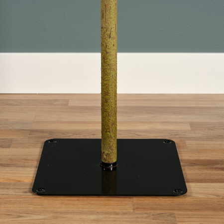 Ель узкая на стволе Альпийская 210см 680072