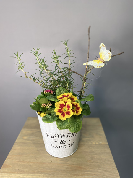 Композиция в ведерке с розмарином