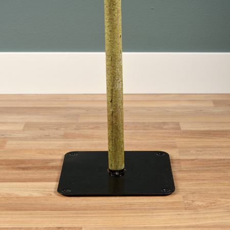 Ель узкая на стволе Альпийская 120см 680069