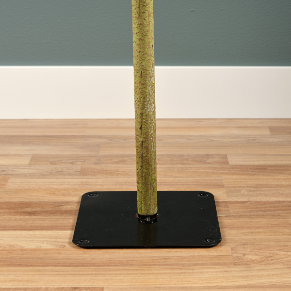 Ель узкая на стволе Альпийская 120см 680069