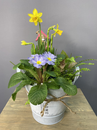 Весенняя композиция с нарциссом в ведерке