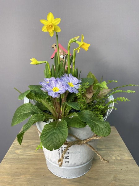 Весенняя композиция с нарциссом в ведерке