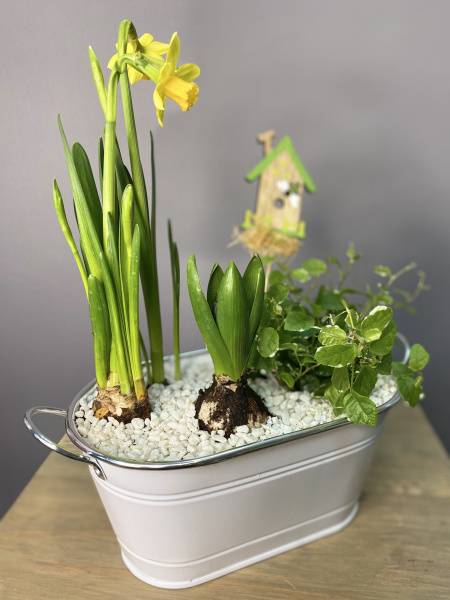 Композиция в овальном кашпо