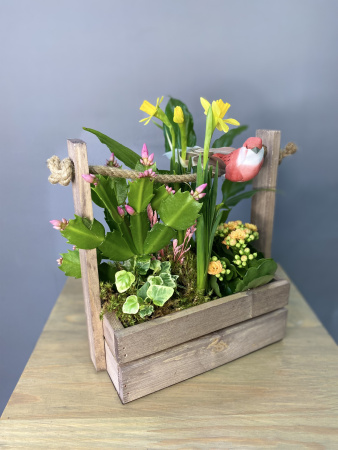 Цветущий садик в ящике