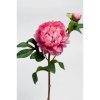 Ветка пиона с розовым цветком в бутоне 50см