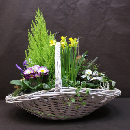 Мини-сад цветов в корзине