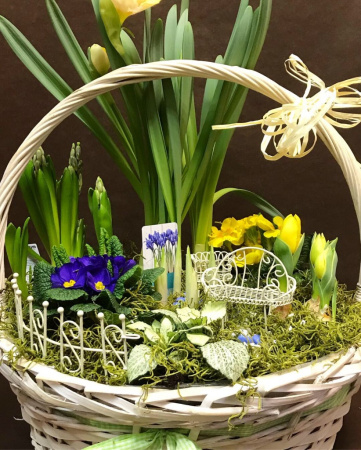 Мини-садик в корзине